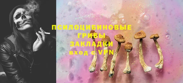 сатива Балахна