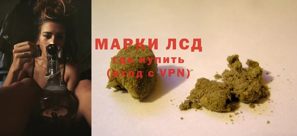 сатива Балахна