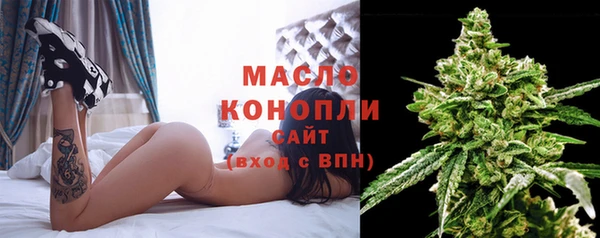 сатива Балахна