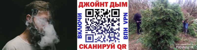 Бошки Шишки MAZAR  Верея 